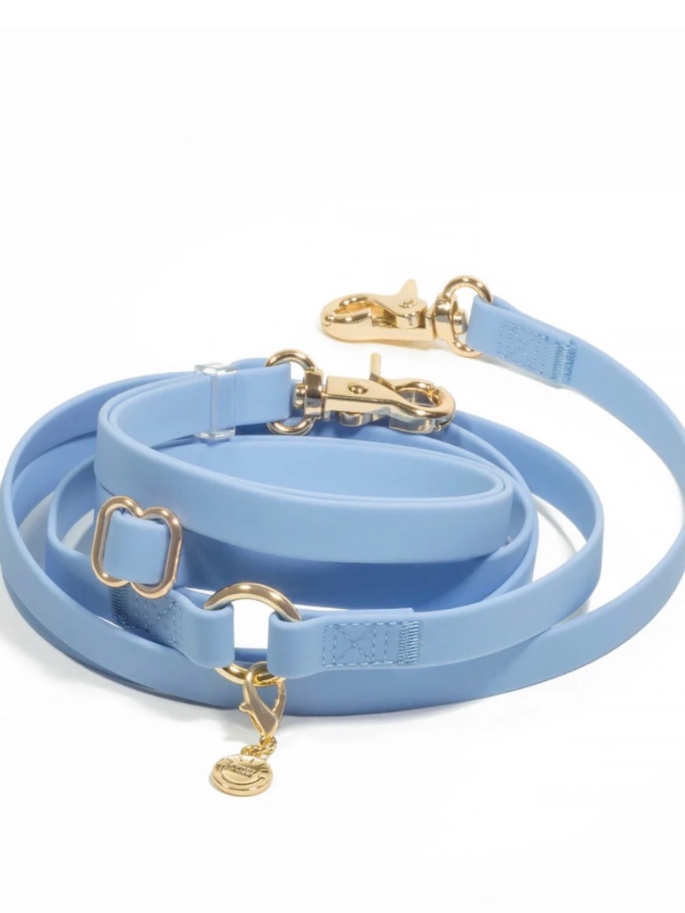 Malibu Blue 4-in-1 Convertible Hands Free Cloud Dog Leash